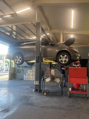 Albert doing a recent oil change.