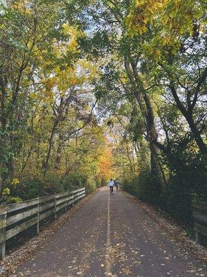 Monon Trail, late fall