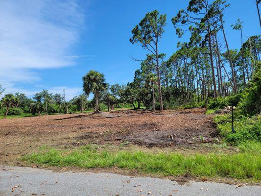 The lot after mulching