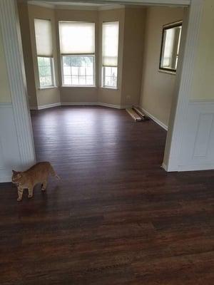 Newly installed Mannington Adura  LVT floor .