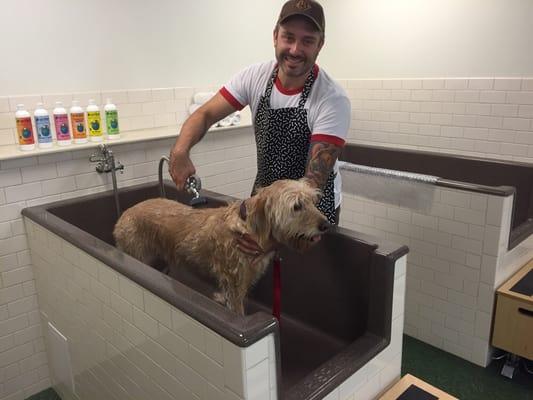 Do-it-yourself dog washing stations!