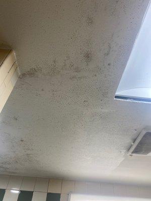 Mold on bathroom ceiling.