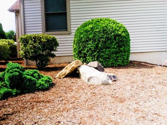 Landscaping, Lawn Care, Mulch, Trimming, (Scranton, Wilkesbarre, Clarks Summit)