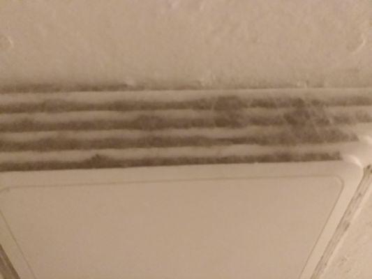 Nov 16, 2019... Bathroom Vent... must be the moles on the other side of that bathroom wall coming through, just saying!