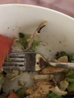 Meat & Potato Salad w/grilled chicken AND a bone!