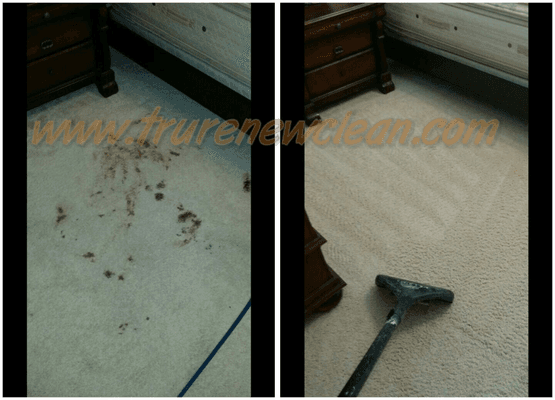 Blood Stain Removal