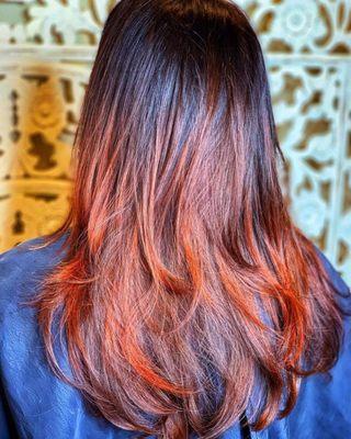 Holiday Color by Courtney