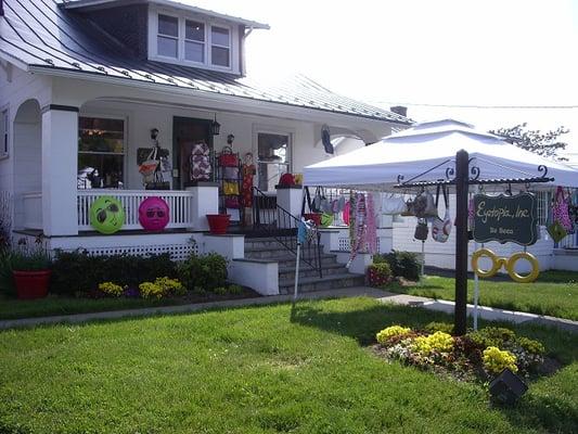 Flower and Garden show weekend at the shop.