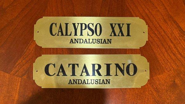 Customize your horse's stall with our classic metal  fancy nameplate. Any Size 2"x7" Email: SRDL9@YAHOO.COM