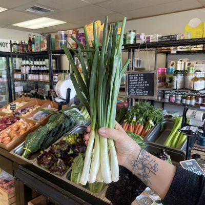 Fresh, in season organic produce