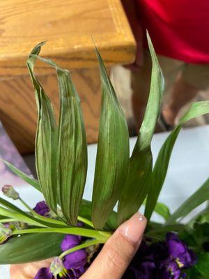 Dried up leaves and wilted flowers