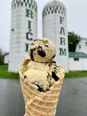 Pumpkin Oreo in a Waffle Cone