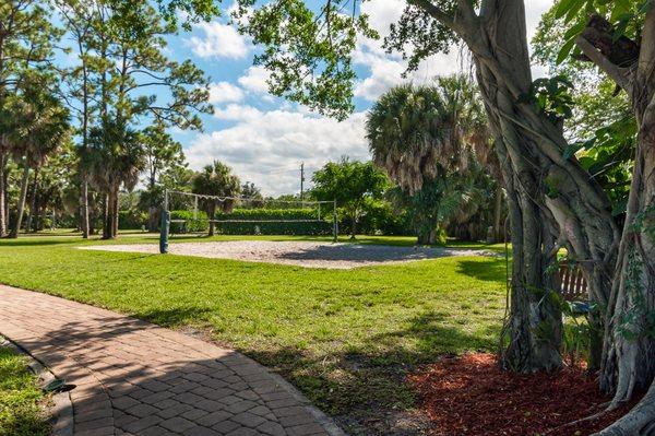 Volley ball court and outside area