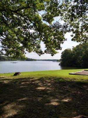 The view, looking to the right at C6. You can see the swings from B lot on the far right. Great shaded lot