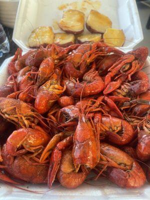 The BEST crawfish