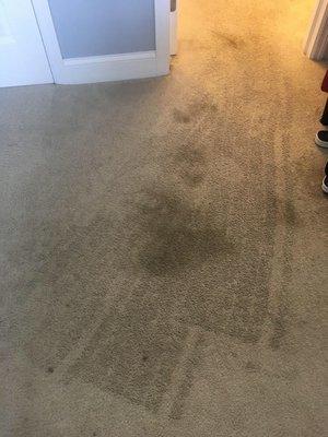 Dirty carpet and broken floor strip.