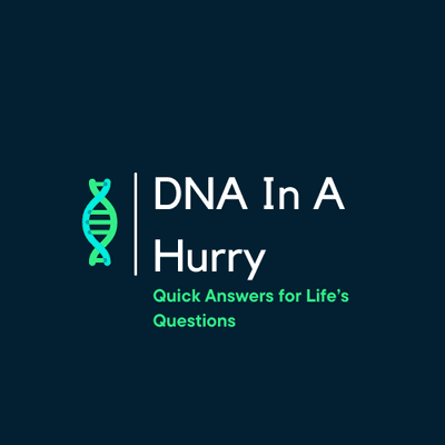 DNA In A Hurry