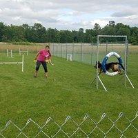 Obedience and Agility Training