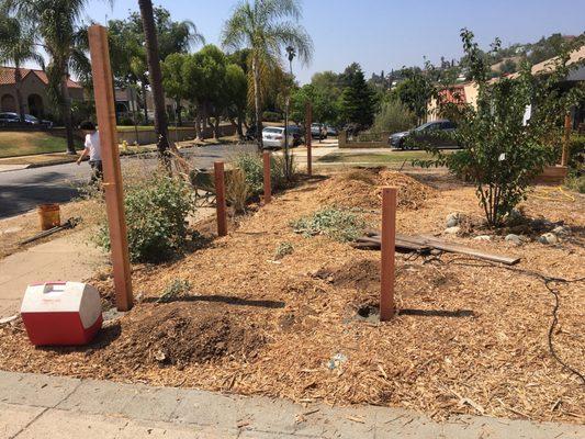 Setting the posts - they worked around my landscaping