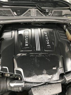 Engine bay shampoo