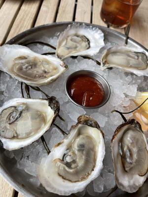 Oysters