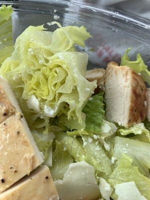 The  yellow lettuce cease salad