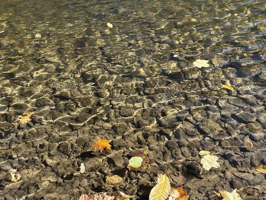 Sunlight rippling over the rocks in the water