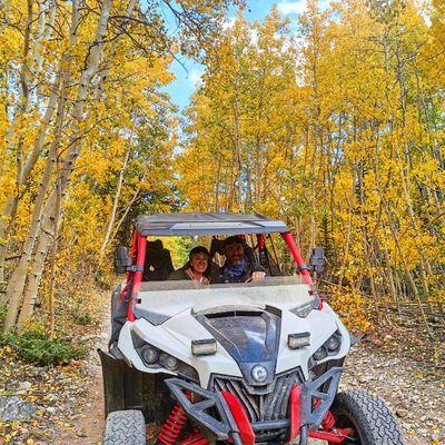 Aspen leaves are changing!