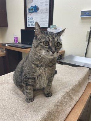 There she is waiting to get to get her teeth cleaned.