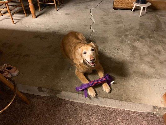 A happy boy with his new toy from Officer Brinton. Thanks for making him a happy guy again.