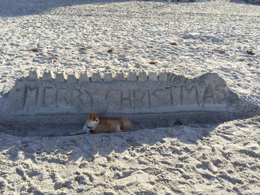 Pom finding a cool spot on the beach