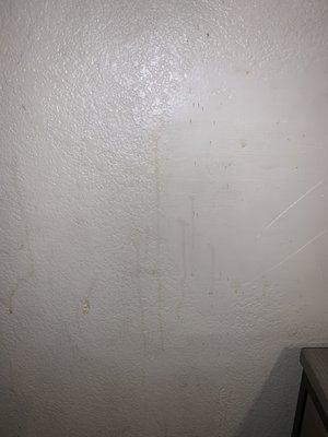 Stains on the wall, so gross!