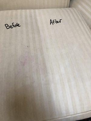 Before and after upholstery cleaning!