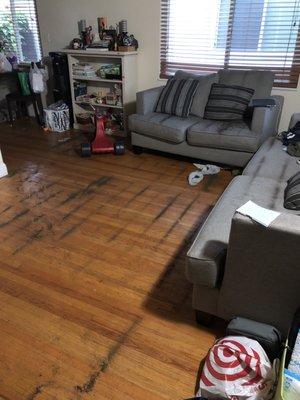 Our couches still stink like the debris and my son kept rolling around in the debris in the floor.