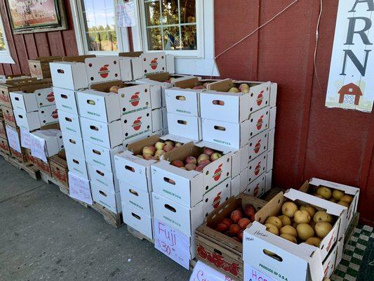 Apples!  Many varieties, in great condition, and very, very tasty.