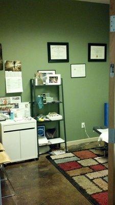 Chiropractic/Physical Therapy Room