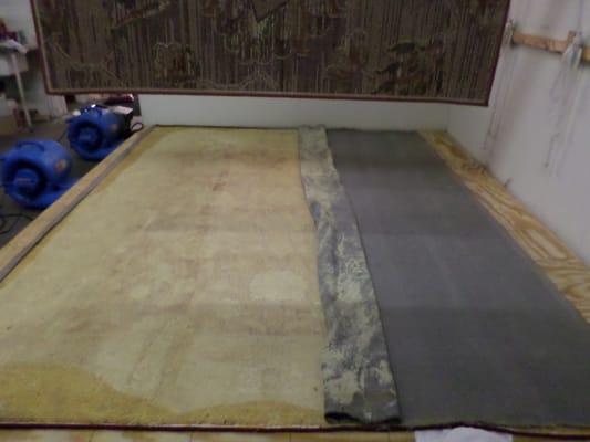 Rug Repair