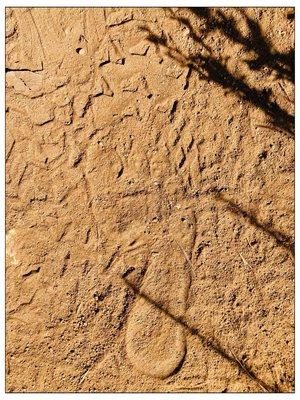 Actual bare foot print of a guy hiking with no shoes. He said it feels great and you get  recharged from nature.