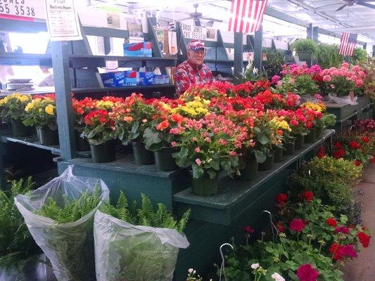 A beautiful collection of flowers!  This guy just screams Happy Memorial Day weekend!