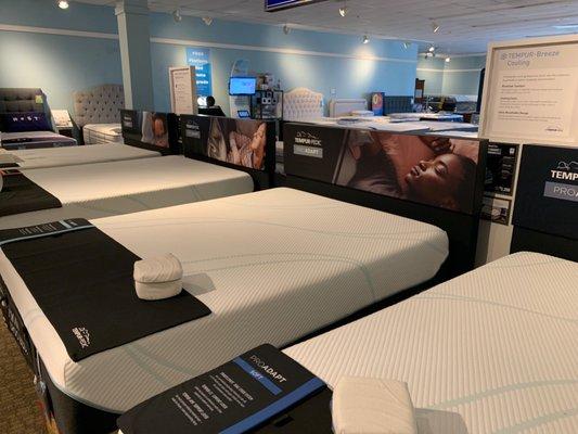 Super clean beds. Nice showroom.