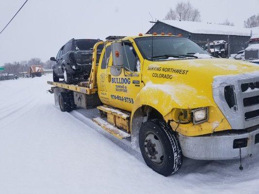 Bulldog Towing and Recovey