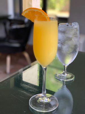 Mimosa