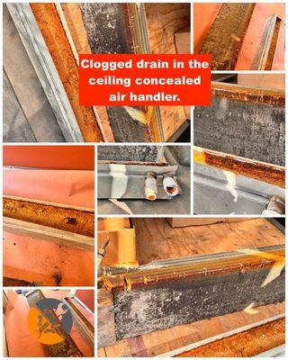 Ceiling Concealed Air Handler / Clogged drain caused water collection in the pan and evaporator rusting