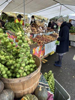 Brussels on stalk