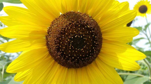 There is a really beautiful garden outside of the office. Take time to stop and smell the flowers!