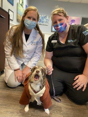 I am just the dog you're looking for...thanks to the Eye docs! Sophie wan Kenobi