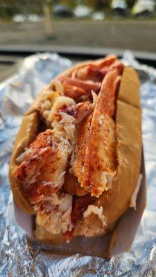 Warm buttered lobster roll!