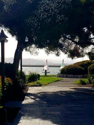 Serene views and sailing on the bay outside our office