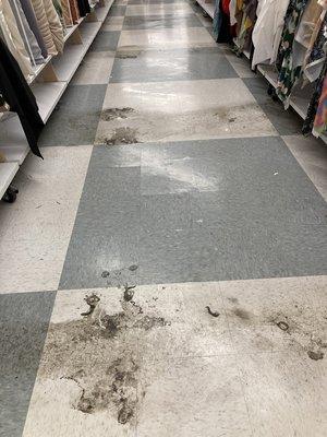 Collection of years of dirt and filth in the aisles where they moved shelving around.