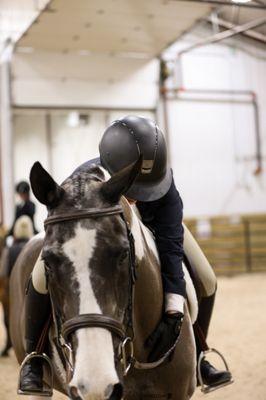 lots of horsie cuddles